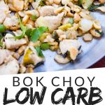 PINTEREST IMAGE with words "Bok Choy low carb Chicken Stir Fry 7 net carbs" with image of Low Carb Bok Choy Chicken Stir Fry.
