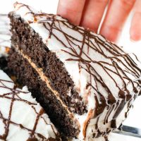 Image of Low Carb Keto Chocolate Cake slice being removed from the cake.